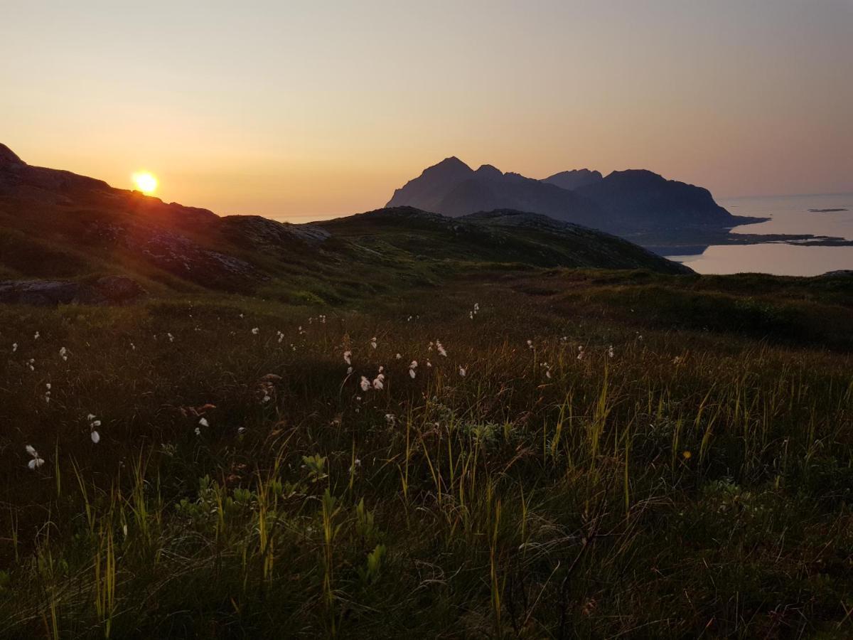 Villa Walter Lofoten With Sauna Kvalnes  外观 照片