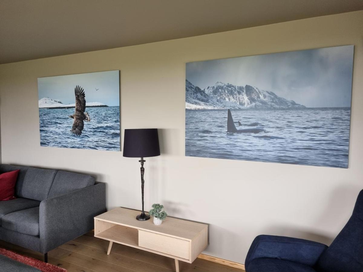 Villa Walter Lofoten With Sauna Kvalnes  外观 照片