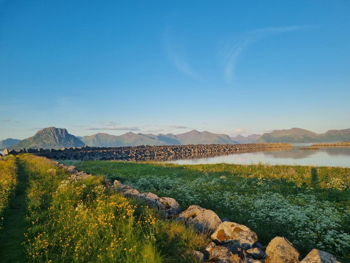 Villa Walter Lofoten With Sauna Kvalnes  外观 照片