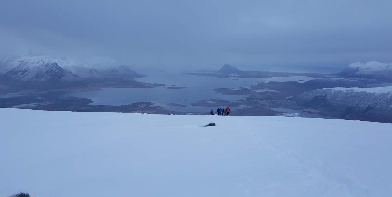 Villa Walter Lofoten With Sauna Kvalnes  外观 照片