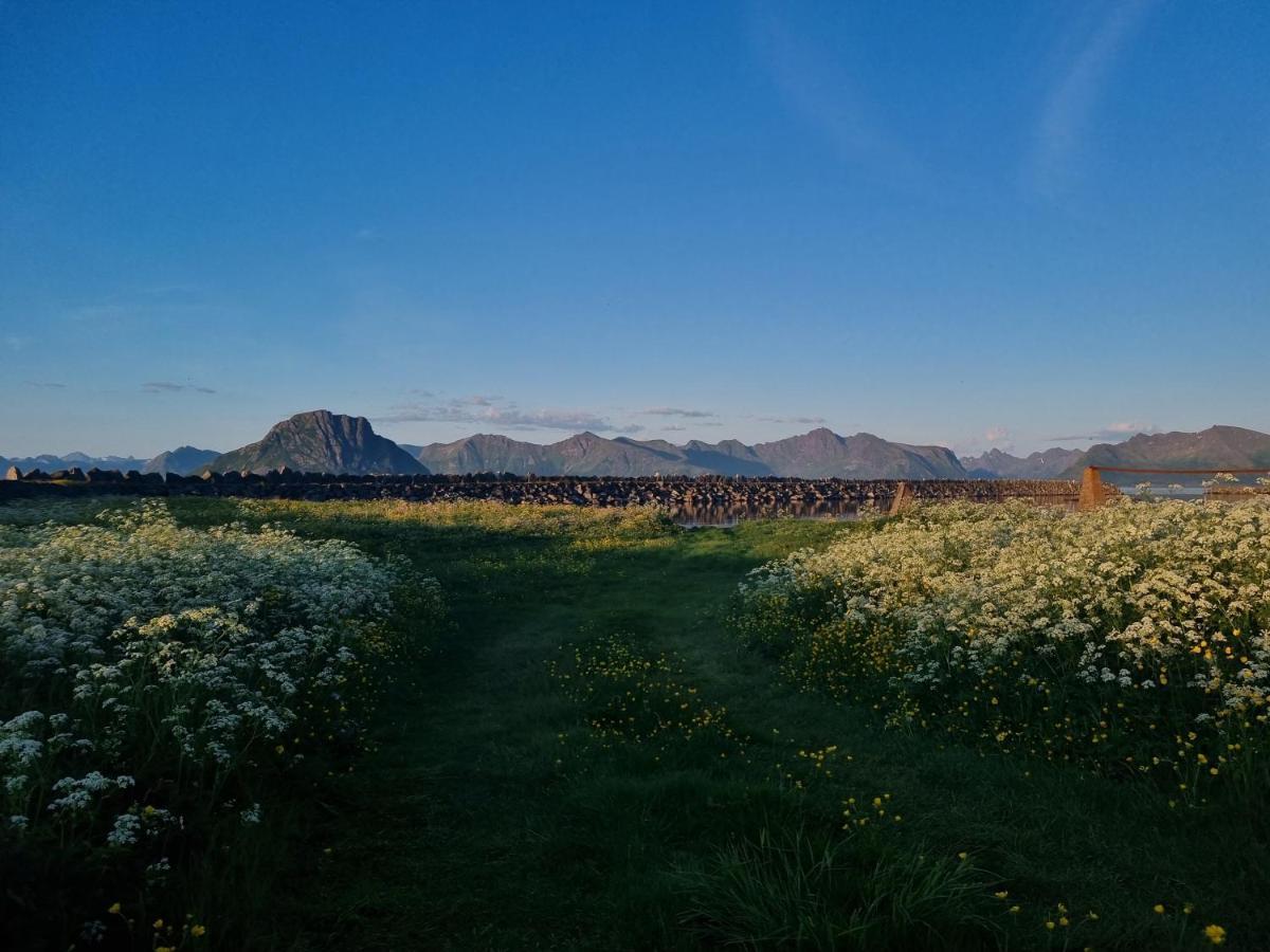 Villa Walter Lofoten With Sauna Kvalnes  外观 照片
